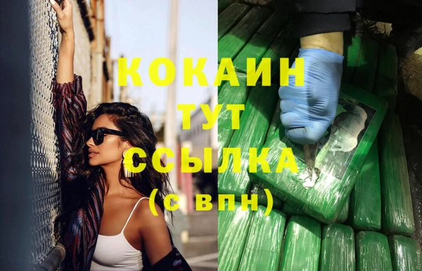 соль ск Козельск