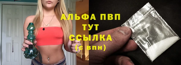 прущие грибы Краснослободск